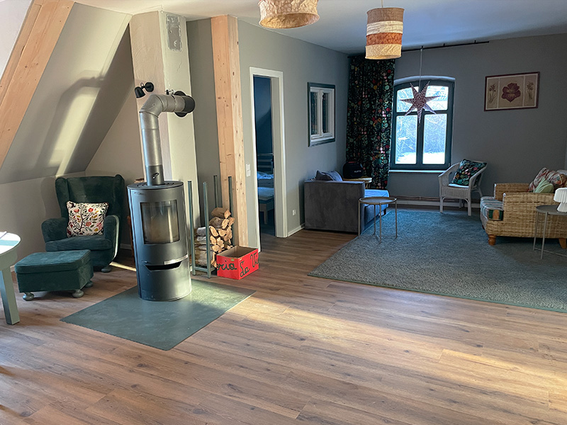 Wohnbereich mit Blick auf den Kamin und Sofaecke