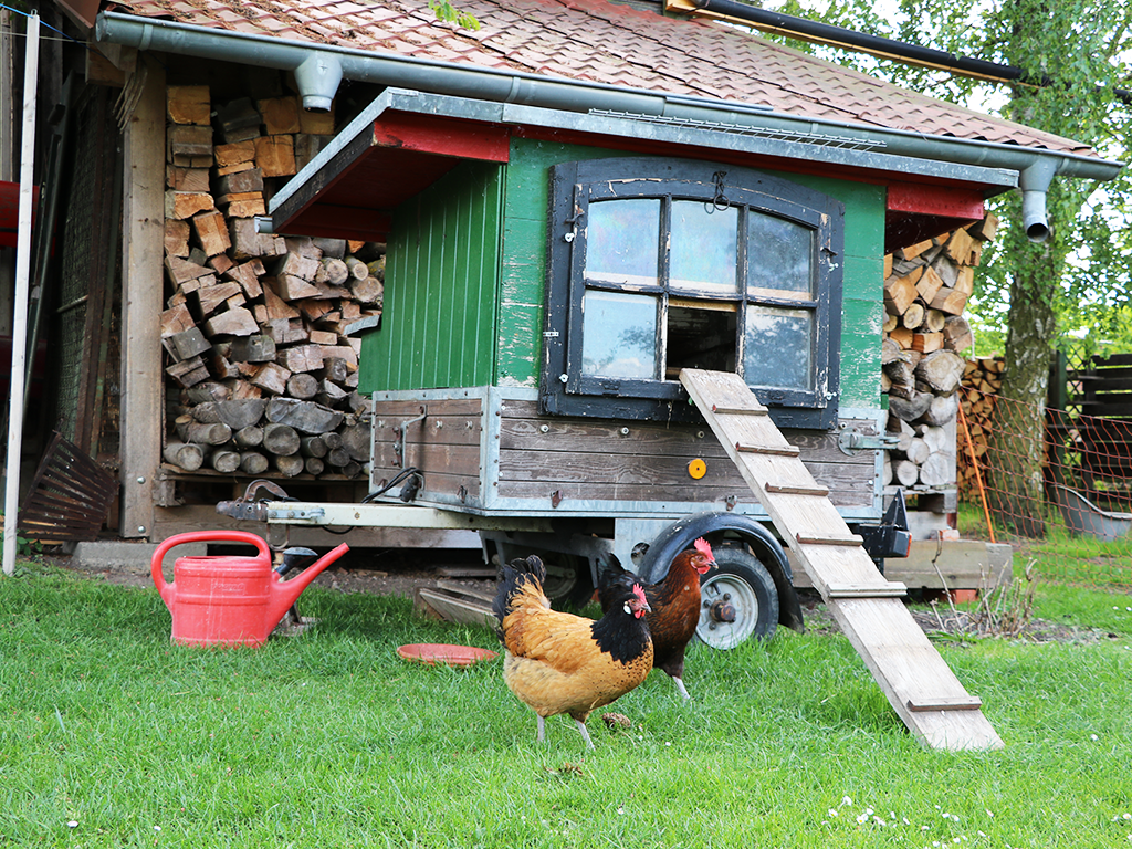 Hühnerstall
