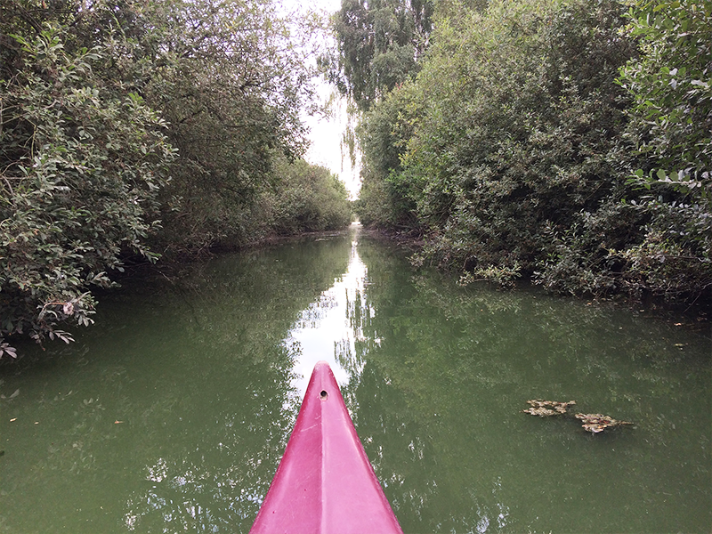 Blick aus dem Boot nach vorn